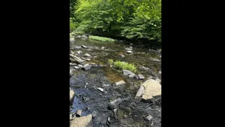 Test Your Survival Instincts By Spotting The Deadly Snake In Under 10 Seconds